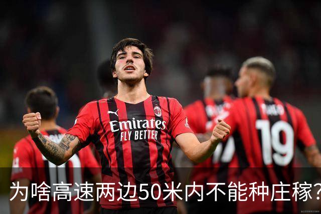 为啥高速两边50米内不能种庄稼？种出来的大米你可能不敢吃