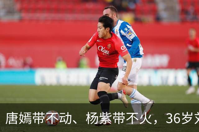 唐嫣带不动、杨紫带不火，36岁刘学义靠央视这部戏，让观众终于记住了他的名字