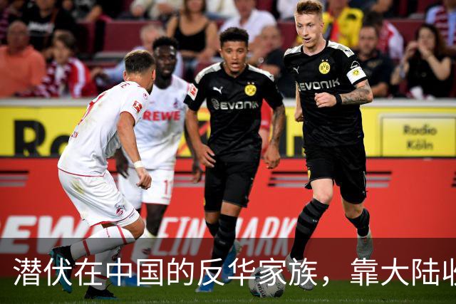 潜伏在中国的反华家族，靠大陆收入上亿，现国家出手下场大快人心